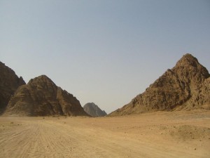 Offensiva in Sinai 