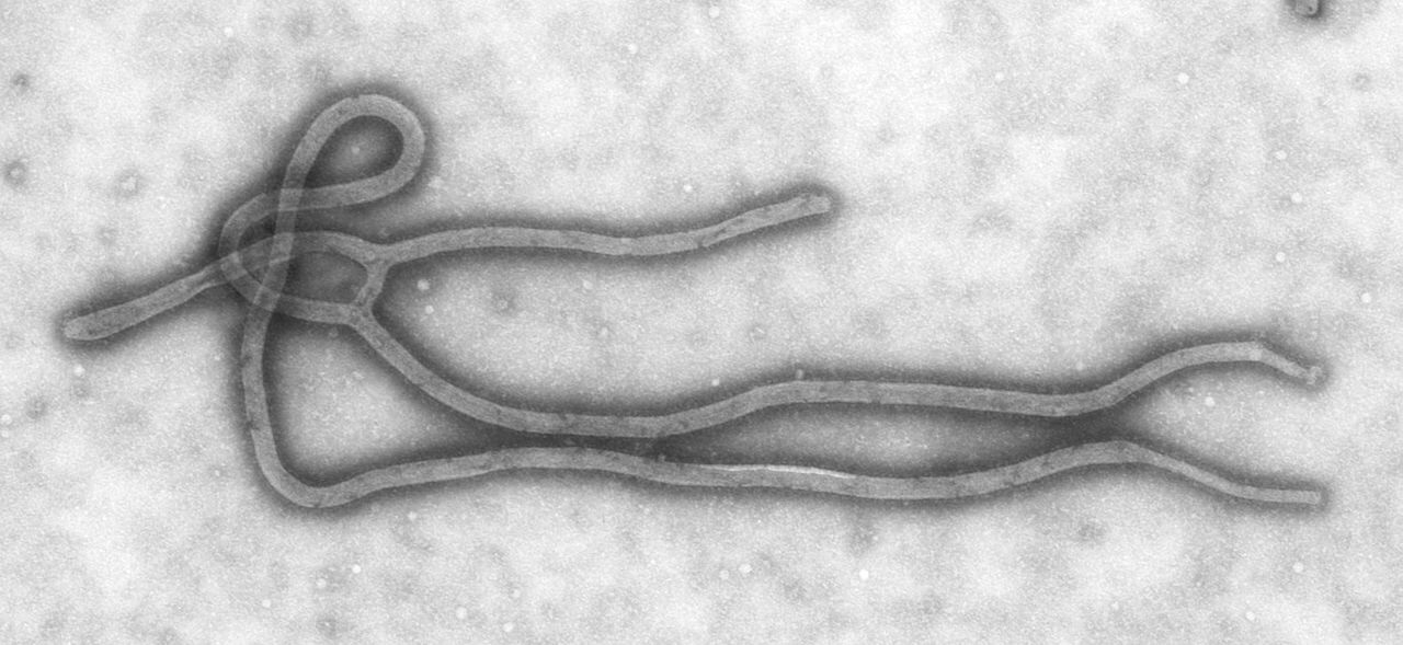 Ebola l’epidemia continua: 1000 casi 600 morti