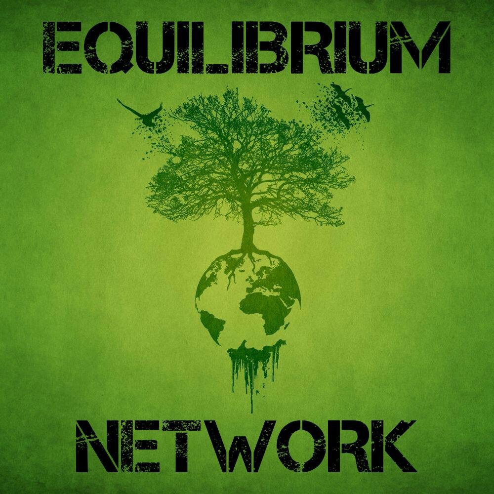 Equilibrium Network