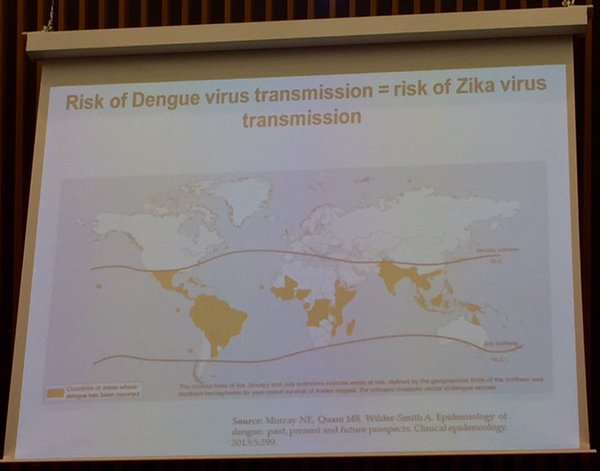 Il Virus Zika: cosa dobbiamo sapere, dove si diffonderà